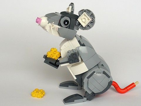 Rat