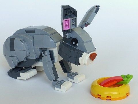 Rabbit